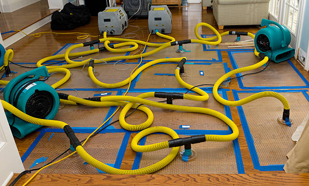 Professional Basement Flood Cleanup technician working in Warren, AR